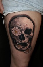 Dris Donnelly