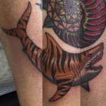 Drew Shallis