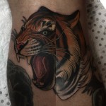 Drew Shallis