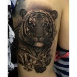 Fred Leite (fred_tattoo)